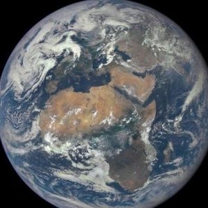 Meet your Posher, Samuel